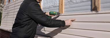 Best Siding Painting and Refinishing  in Edison, GA